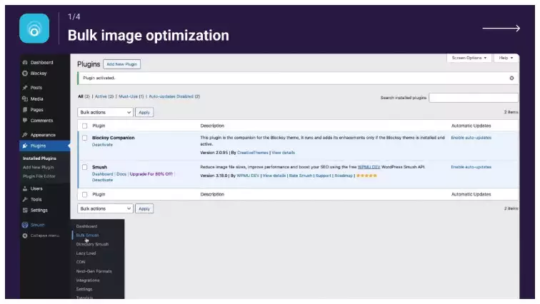 Smush plugin