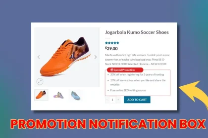 Guide to Creating a Beautiful Promotion Notification Box for Your Website