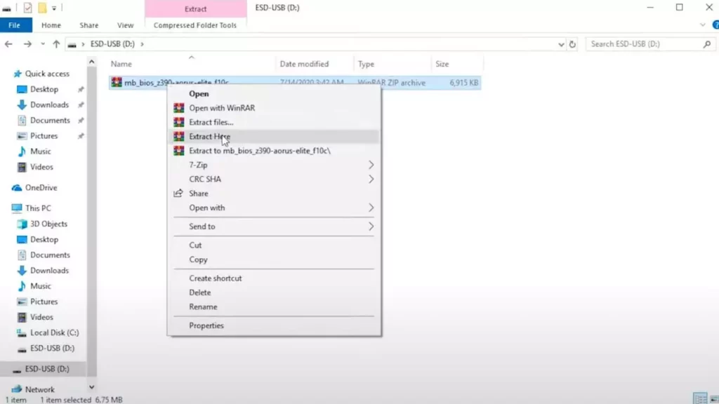 Extract here bios