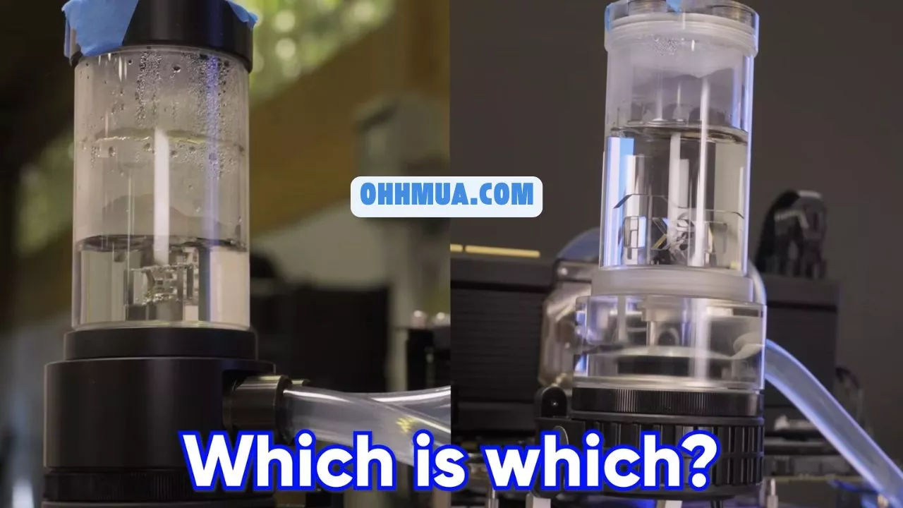 Can Pond Water Really Cool a PC